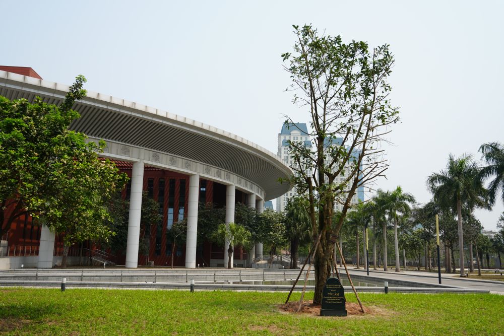 心相近｜“中越友好的根基在人民”——習近平主席引領推動中越傳統友誼恒久常新