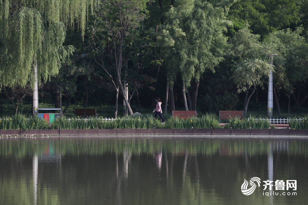 滨州PG电子新滨公园：“精”管绿空间 “质”造幸福城(图2)