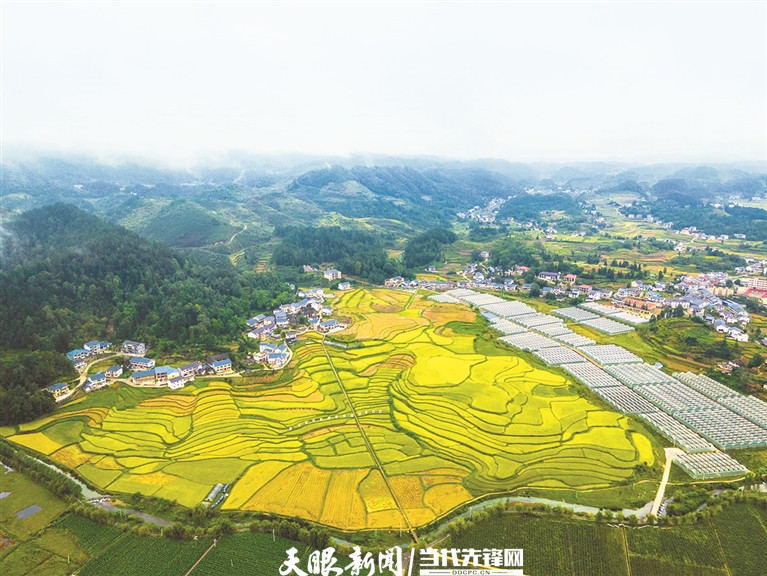 花茂村田園風光美如畫。 羅星漢 攝.jpg