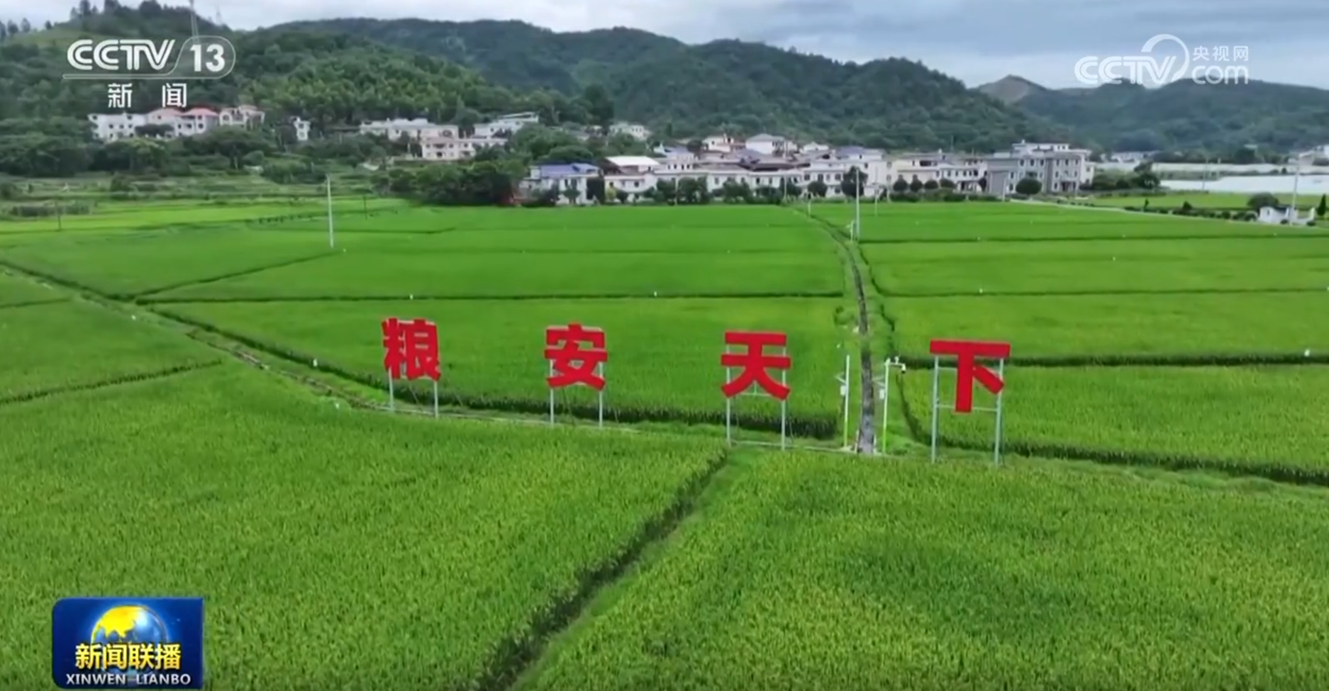 【新思想引領新征程】嚴守耕地紅線 提升耕地質量