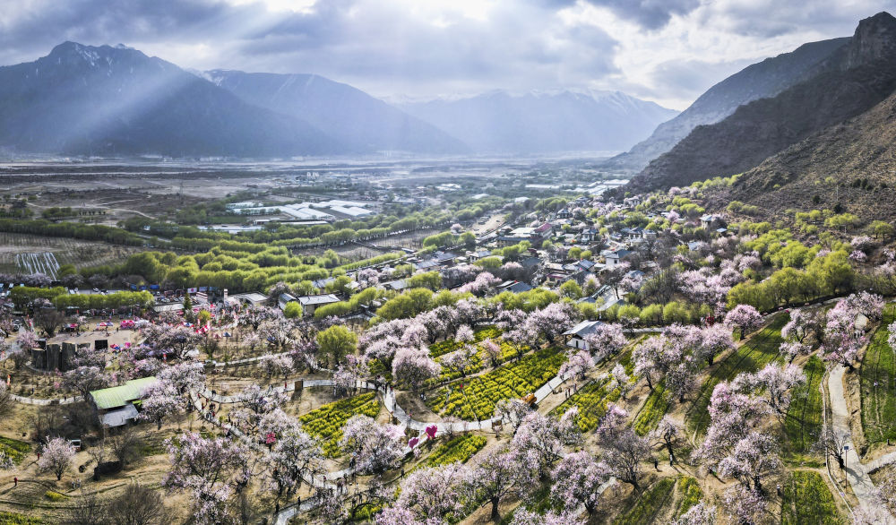 鏡觀·回響｜擦亮興邊富民的“桃花村”品牌