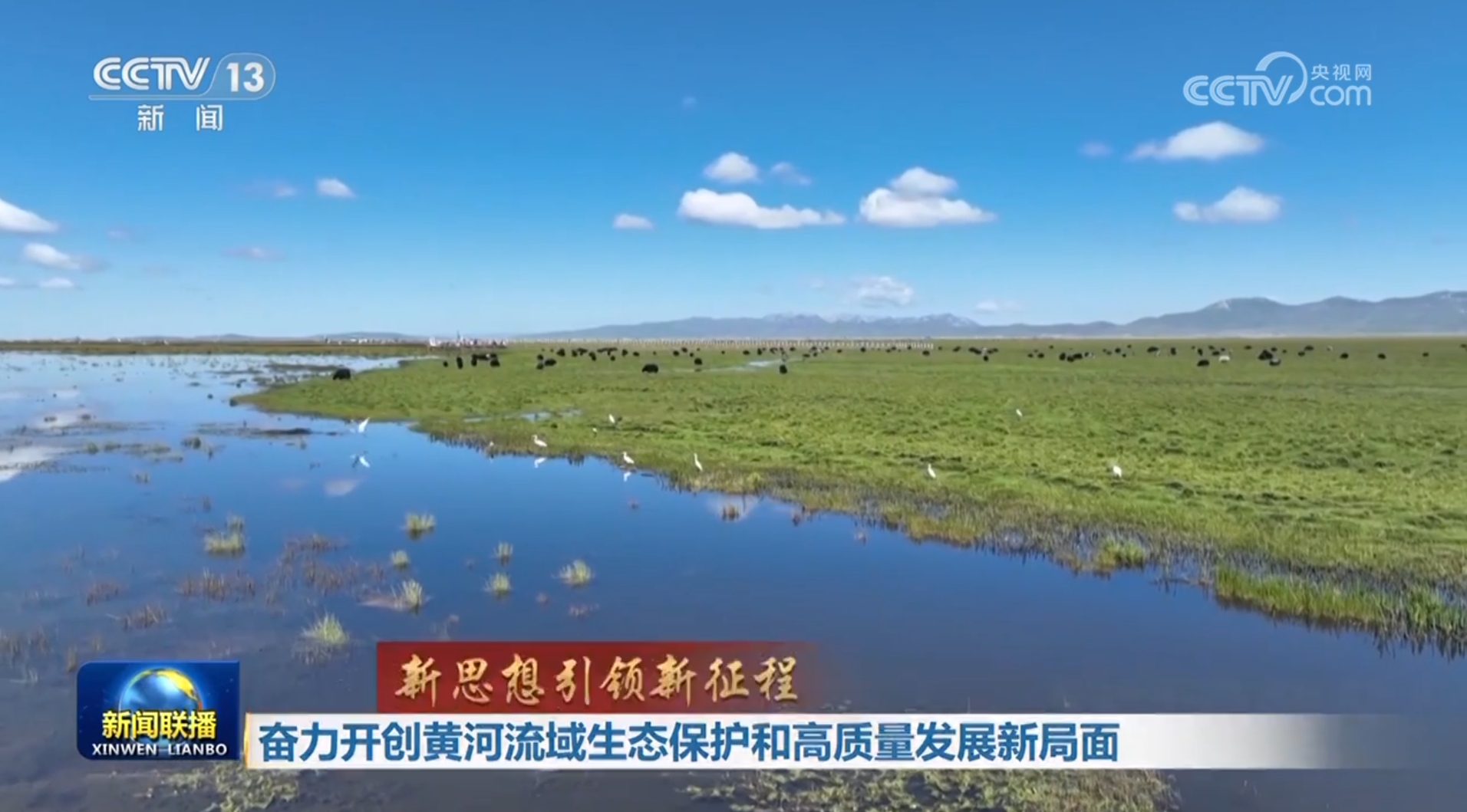 【新思想引領新征程】奮力開創黃河流域生態保護和高質量發展新局面
