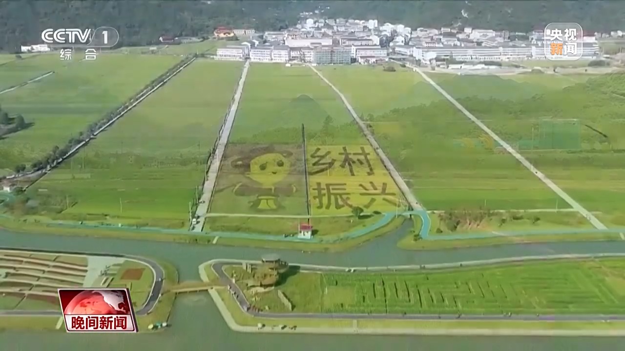 看見美麗中國丨20年“灰山”變“青山” 老鄉村“長”出新業態