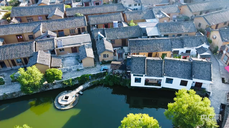 【牢記囑托·看見美好中國】“紅綠”生金 繪就老區新景