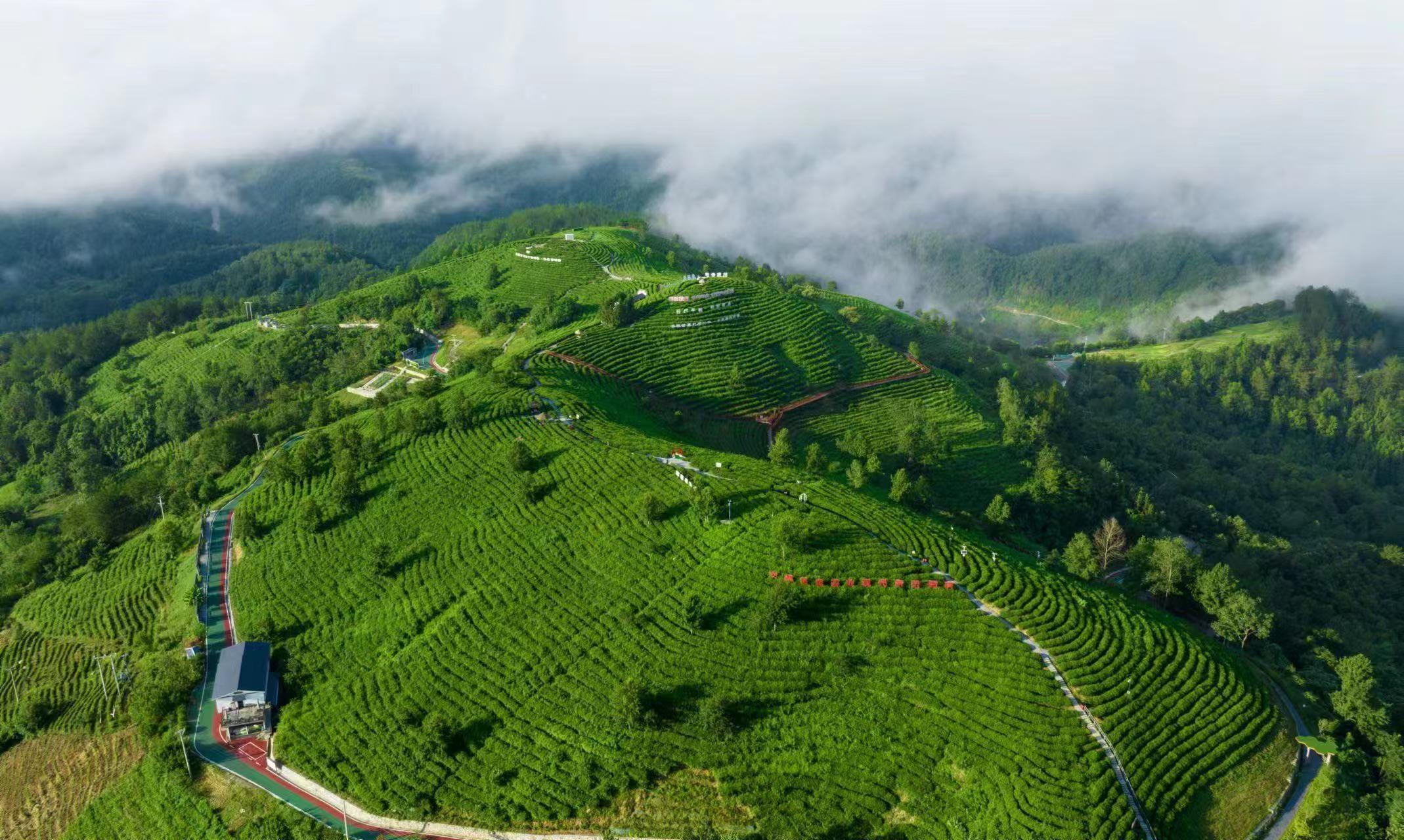 近觀“兩山”丨理念一變天地寬