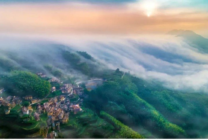 第一視點(diǎn)丨生態(tài)興則文明興——寫在“綠水青山就是金山銀山”理念提出20年之際
