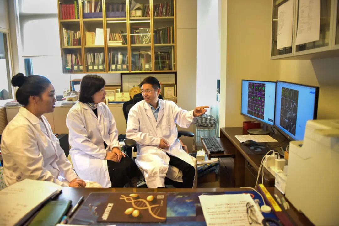 重磅!Cell刊发 | 山东农大科研团队破解世纪难题