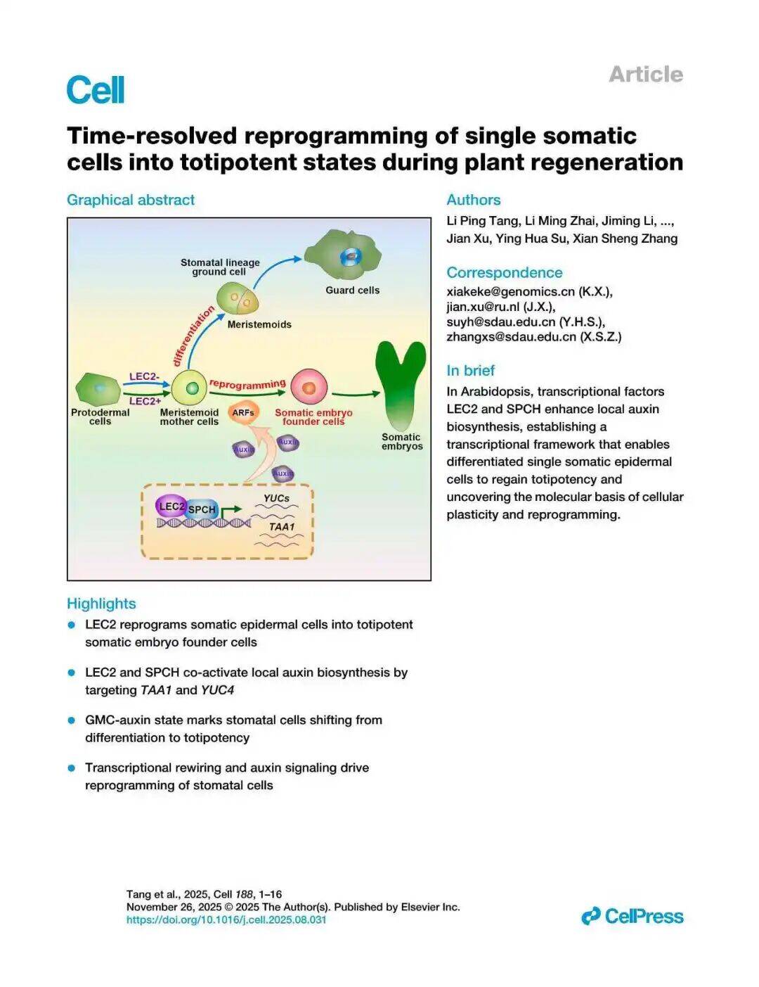 重磅！Cell刊发| 山东农大科研团队破解世纪难题_要闻_要闻板块_教育_齐鲁网, image size:1080x1403