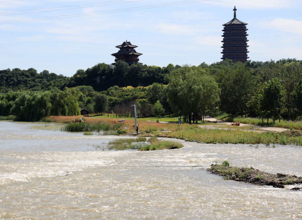 习近平总书记关切事｜北京的树