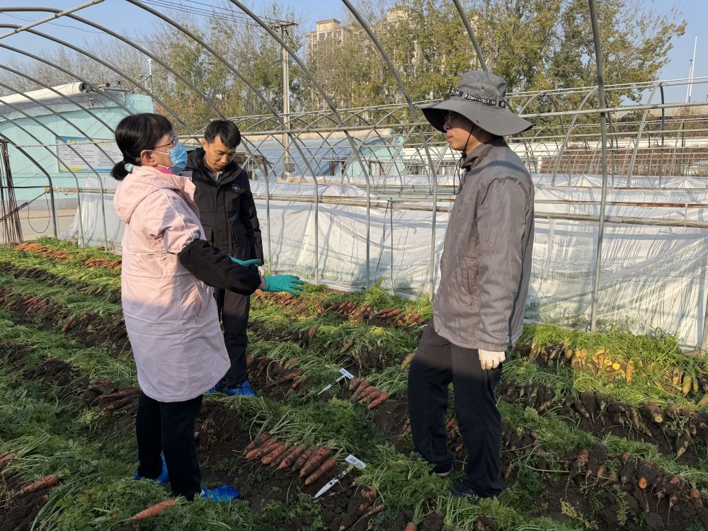 习近平总书记关切事·嘱托｜沃野兴农人的丰收密码