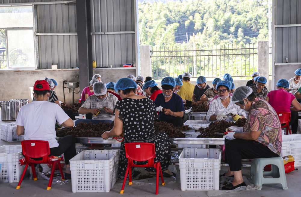 习近平总书记关切事·嘱托|生态守护者的绿色画卷