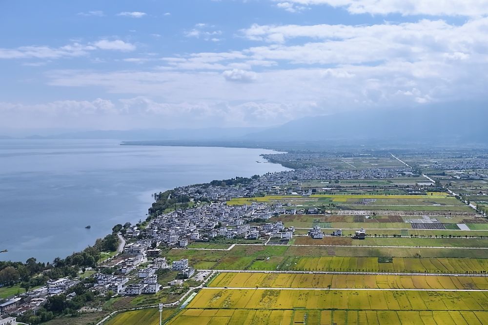 习近平总书记关切事|幸福花开新农家