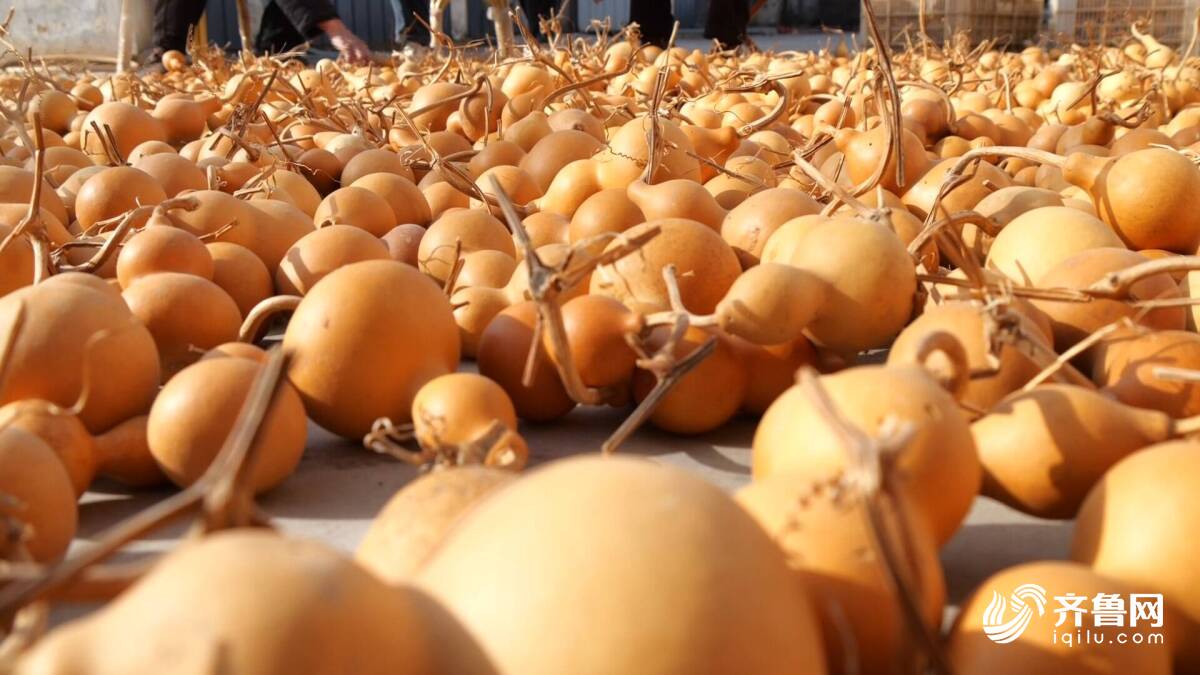 产销两旺迎新春 肥城“特色年货”订单暴涨