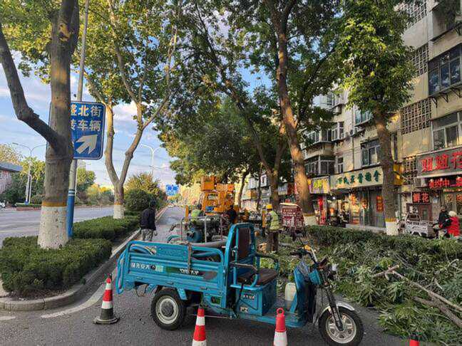 济南园林绿化部门快速行动 处置倒伏树木保安全