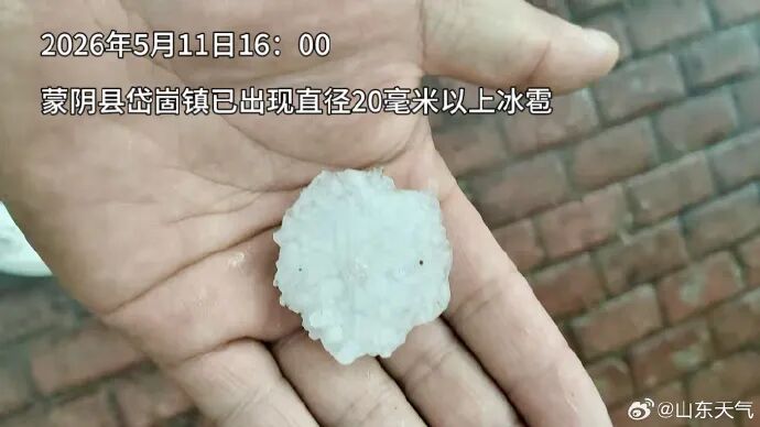 组织农业生产自救、开展农业保险理赔，山东多地积极应对冰雹影响_齐鲁