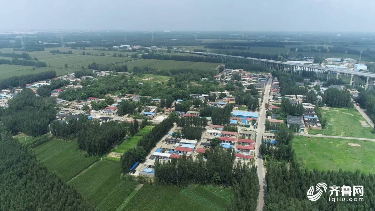 东阿智造建材远销多国产业民生双向赋能(图2)