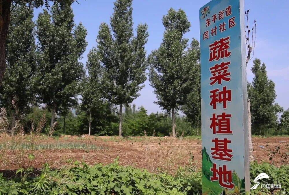 不止一顿热饭！东平幸福食堂：吃饭唠嗑文娱一站式 晚年生活有奔头
