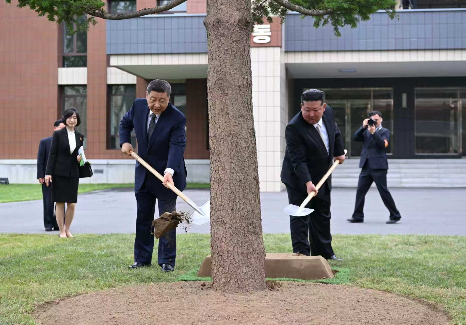 天天学习丨中南海月刊(2026.06)