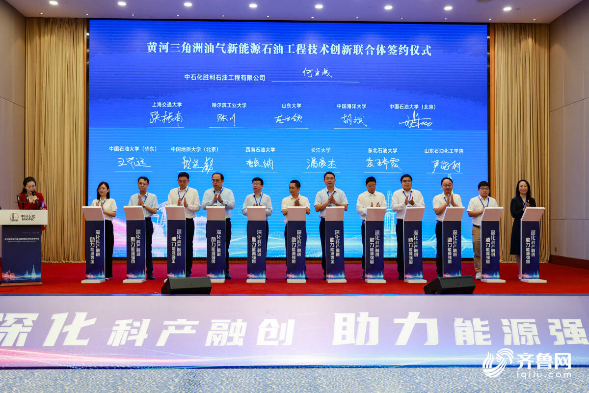 多项成果填补国内空白胜利石油工程发布十大能源工程核心技术(图1)