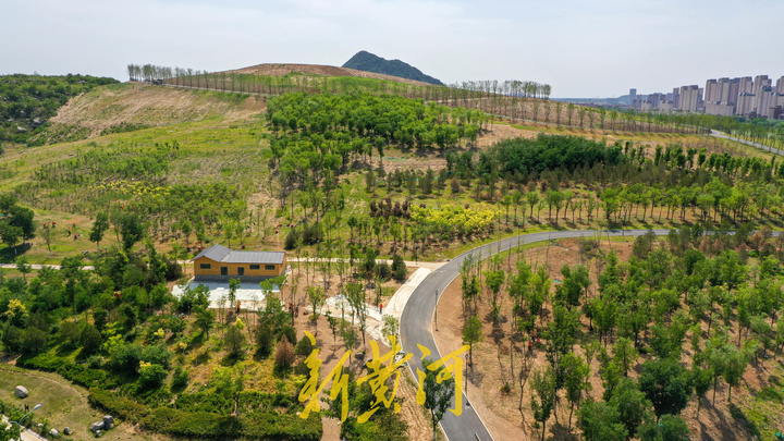 华山片区又一区域景观提升，南卧牛山约28公顷面积绿化升级