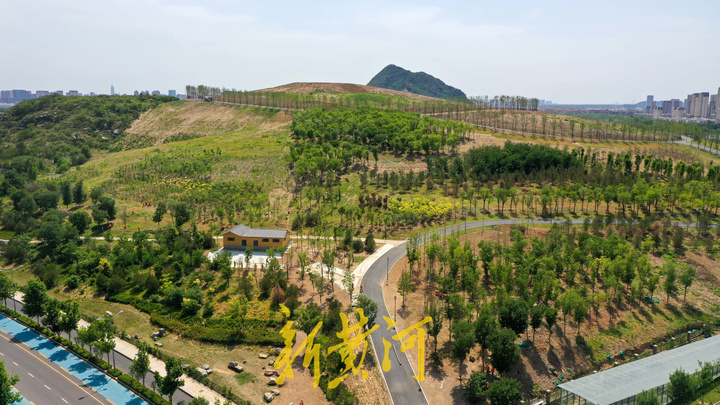 华山片区又一区域景观提升，南卧牛山约28公顷面积绿化升级