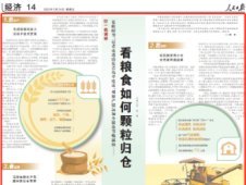 人民日报记者走进青岛平度市，看粮食如何颗粒归仓