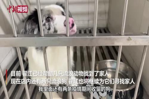 原上海動物方艙負(fù)責(zé)人“退休” 繼續(xù)寵物公益事業(yè)