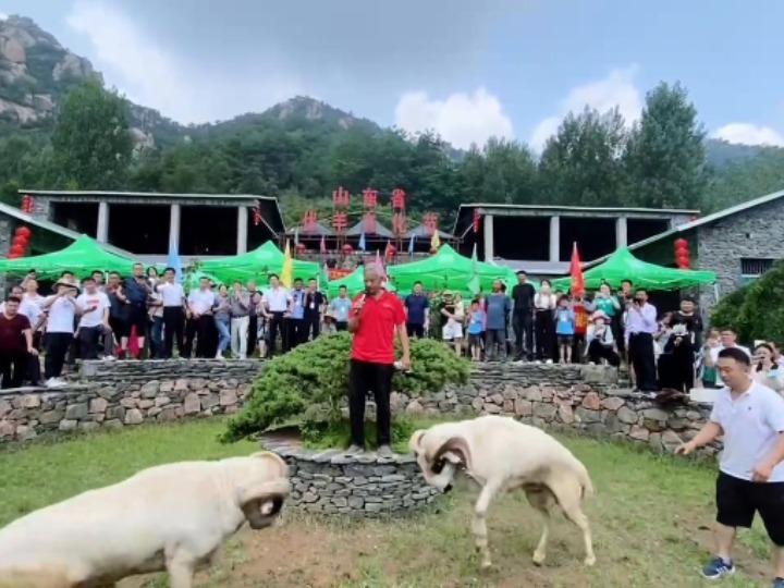 山東沂源舉辦第十屆山東省伏羊文化節(jié)