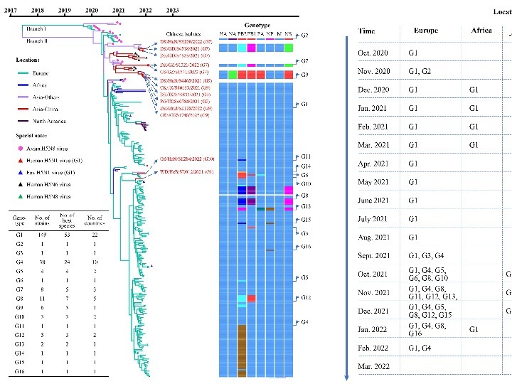 我國科學(xué)家團(tuán)隊(duì)揭示新型H5N1禽流感病毒進(jìn)化全貌
