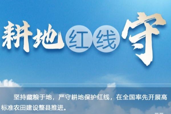 微海报丨夏粮总产再创新高！端牢“中国饭碗” 山东有担当