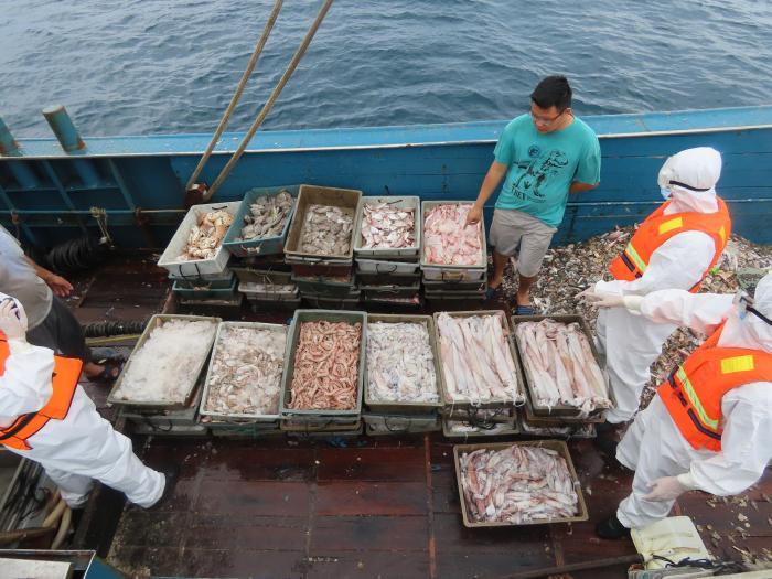 广东海警在南海伏季休渔期间共查获违规渔获物4163.7公斤