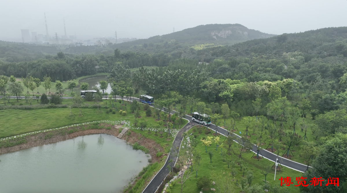 淄博高新区：昔日荒山变景区山水焕发“绿动能”