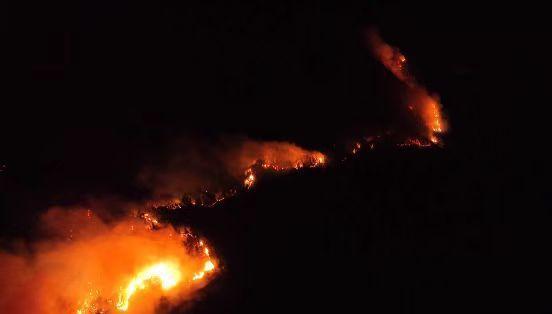 毗邻县山火蔓延至贵州赤水 经全力扑救火势得到控制