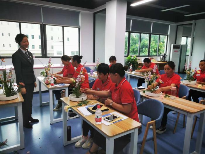 “南粤家政”工程3年带动就业创业超180万人次