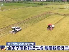 2022年我國早稻產量2812.3萬噸 繼續保持增長