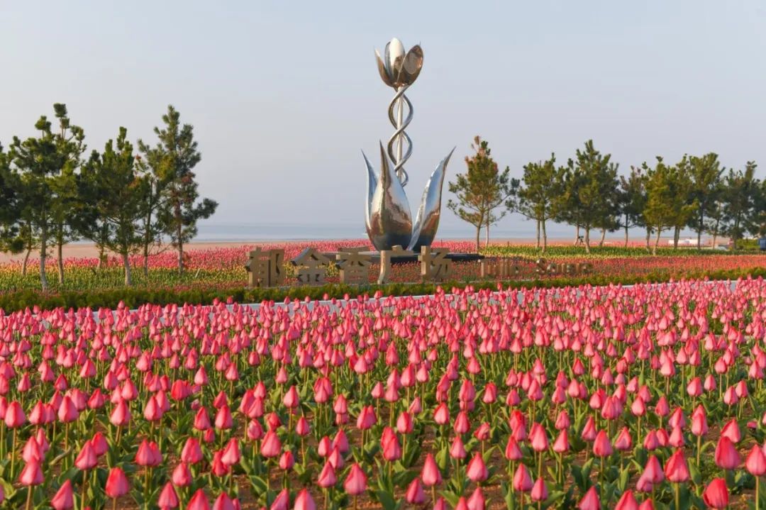 威海南海新区精致城市和安全生产工作半年总结大会召开