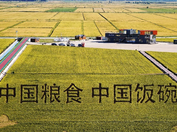 中国这十年·中国故事|筑牢“中华粮仓” 中国第一产粮大省走出十年丰产路