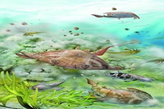 我科學家填補“從魚到人”演化關鍵環節