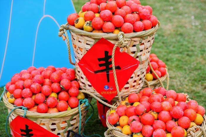 浙江文化观察：“柿柿”为何如意 新年如何“走运”