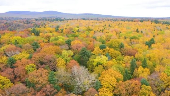 层林尽染！长白山的秋天是彩色的