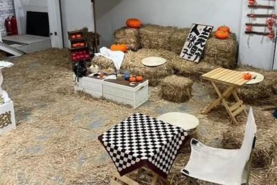 網紅咖啡館被吐槽像牛棚 不妨寬以待之