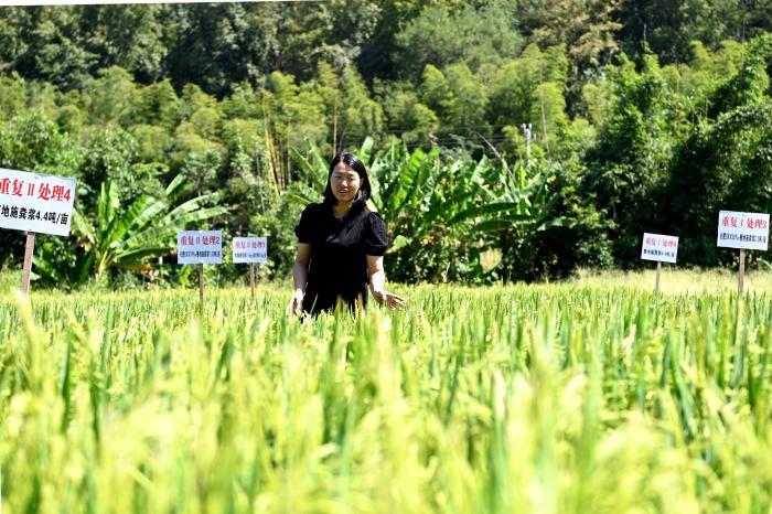【十年@每一个奋斗的你】“80后”女大学生返乡当“新农人”：种水稻十余载 勇于创新尝试