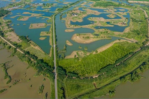 黄河口国家公园进入报批设立阶段，有望近期获批