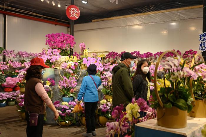 广东多地传统迎春花市回归 税务助花卉行业回暖复苏