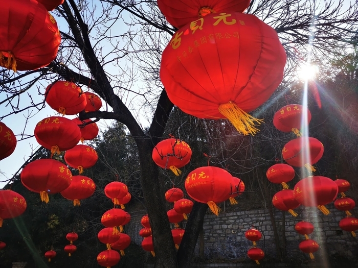 这个春节，千佛山、动物园、植物园等公园景区36项特色文化游园活动奉上“文化游园大餐”