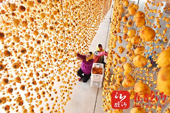 沂南县马泉村柿子加工成为当地群众增收致富的好产业