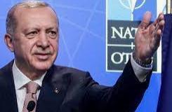 土耳其怒而召见西方九国大使，这件事“悬了”！