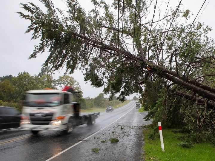 飓风过境至少4人死亡　新西兰展开后续救援