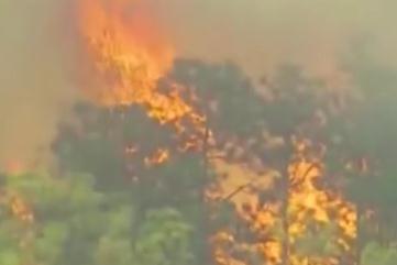 古巴东部森林大火持续 超2000公顷土地受灾