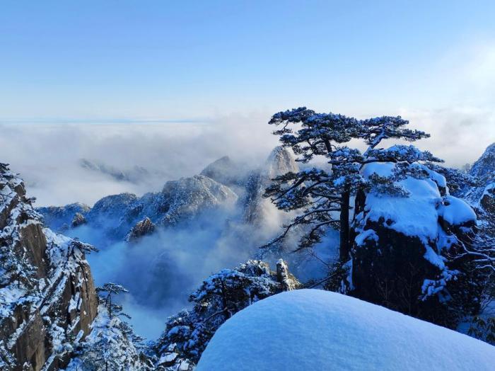 臺灣女青年遇見“黃山IP”：萬物皆可“創”